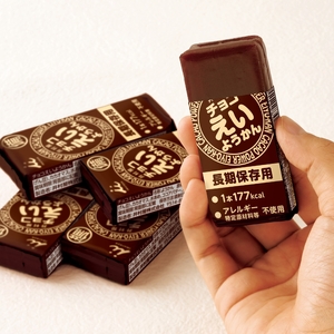 井村屋 チョコえいようかん 非常食 1セット(20本) ようかん 羊羹 長期保存 防災 備蓄