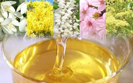 純国産 はちみつ 5種 食べ比べセット 60g×6瓶｜非加熱 純粋 天然 蜂蜜 単花蜜 ハチミツ ギフト｜千葉県 君津市