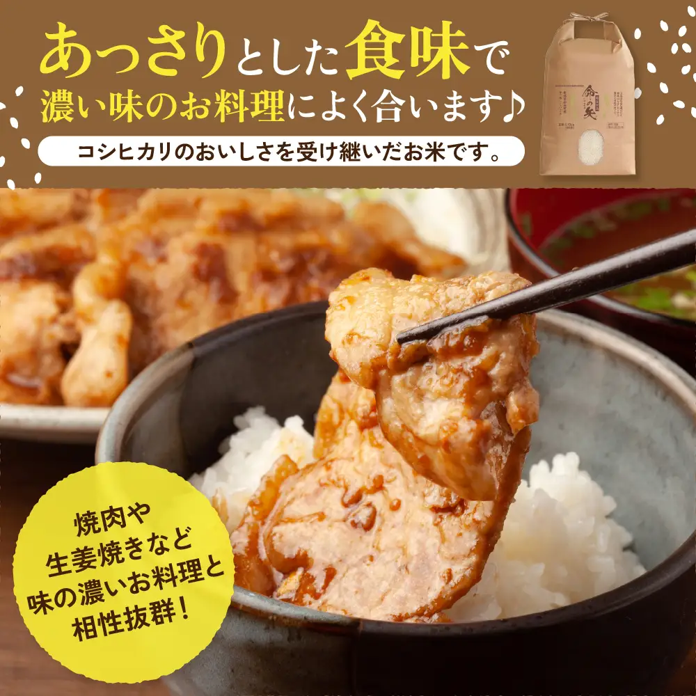 先行予約 令和8年産 越後妙高命の矢 こしいぶき 5.1kg 妙高産