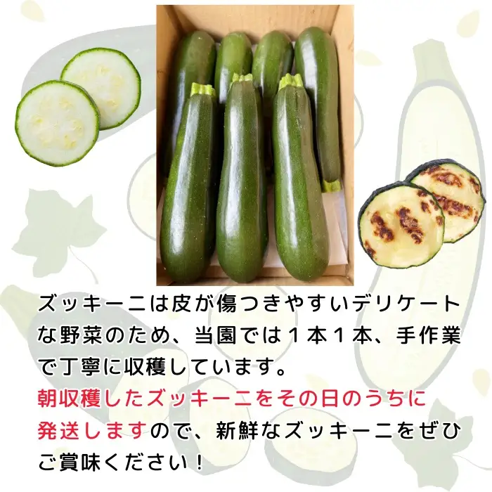 朝採り!! 新鮮ズッキーニ 岸田農園 Cd-001 ズッキーニ