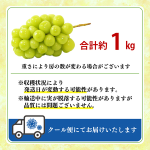 ぶどう 【先行予約】シャインマスカット 約1kg  先行予約 数量限定   edama 静岡県 牧之原市