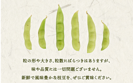 枝豆 約2kg 【先行予約】