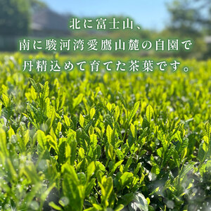 新茶 100g × 3本 沼津 新茶 