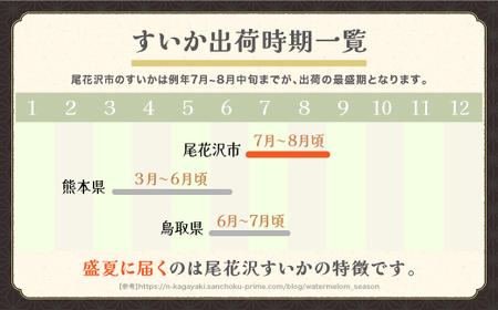 尾花沢スイカ Lサイズ 約6kg×2玉 令和8年産 sb-su1xx2