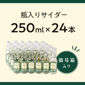 炭酸飲料 サイダー セット 24本 × 250ml ハサイダー