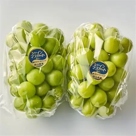 岡山県産シャインマスカット1.3kg(2房)_果物・フルーツ ぶどう・マスカット  ブドウ 葡萄 _【配送不可地域：離島】【1615817】