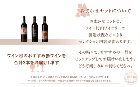 ワイン村 おまかせワイン（赤）3本セット（KWV）D4-620