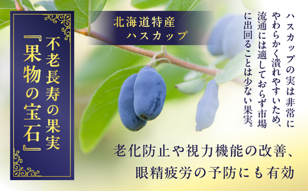 ハスカップ ジャム 食べ比べ セット T048-006 果物 加工食品