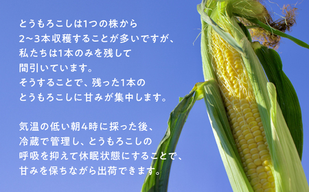 【先行予約】自然の恵みで育った 朝どりとうもろこし 6本 とうもろこし