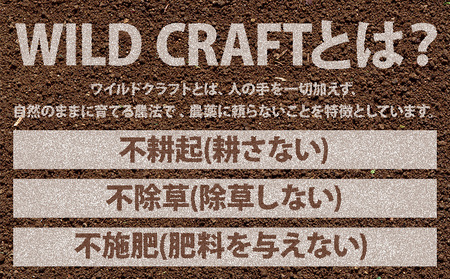 ワイルド クラフト 100% オイル1本 10mg