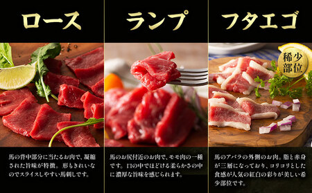 馬肉 熊本特産 フジチクオリジナル ふじ 馬刺し 堪能 セット 道の駅竜北  熊本県 氷川町 肉 馬肉 メン 大トロ 中トロ ヒレ シャトーブリアン ロース ランプ 上赤身 ネギトロ ふじ馬刺し セット 食べ比べ比べ