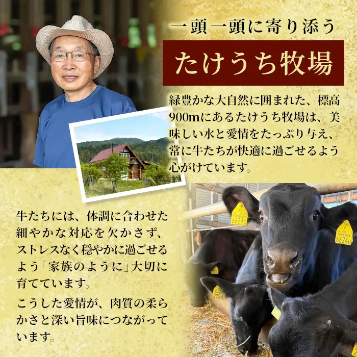 国産牛 段戸山高原牛 切り落とし  400g（200g×2） 牛肉 酒粕育ち 幻の牛 肉じゃが 蓬莱泉 牛丼 -071