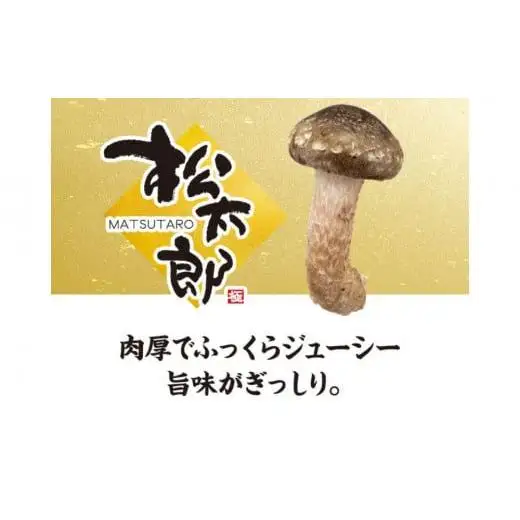 松太郎ギフト（生詰め合わせ）【夏季冷蔵便対応】