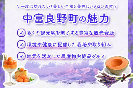 【2026年発送】　なかふらのメロン2玉　（計4kg）【CD-005】