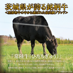 常陸牛切り落とし 約500g｜肉 お肉 牛肉 肉類 常陸牛 切り落とし ブランド 使い切り 少量 茨城県 行方市(DH-31)