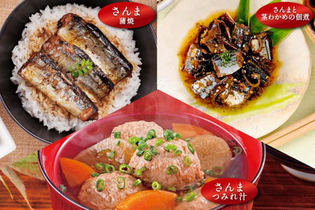 三陸食堂 煮魚 惣菜 セット 3種 9パック [阿部長商店 宮城県 気仙沼市 20565440]