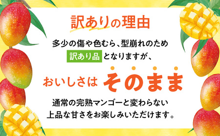 マンゴー 訳あり 宮崎 マンゴー[完熟 1.2kg 3～4玉]
