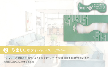 ティッシュ スコッティ ファン 150組 5箱×12パック 60箱 | ティッシュペーパー
