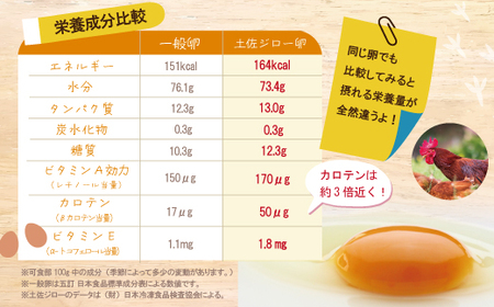 【定期便6回】濃厚でコクのある味わい！のびのび育った土佐ジローの自然卵20個（10個入り×2パック）卵 玉子 たまご 鶏卵 土佐ジロー 自然卵 新鮮 旨味 濃厚 コク 自慢 こだわり卵 高知 高知県 四万十市 産地直送 送料無料 26-1014