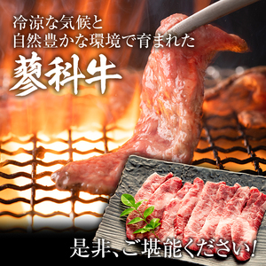 蓼科牛バラ焼肉120g×4　　