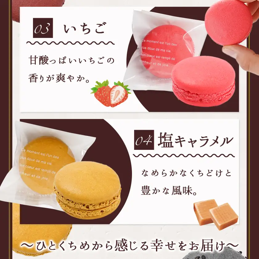 静マカロン 人気フレーバーセレクト 6種6個入≪みやこんじょ特急便≫〔LE-C208-Q〕_(都城市) スイーツ ショコラ ショコラフランボワーズ いちご 塩キャラメル 黒ごま バイオ茶 マカロン