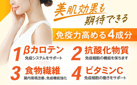 諫早産にんじん 10kg / にんじん ニンジン 人参 キャロット きゃろっと 野菜 やさい 10kg / 諫早市 / 松尾農園 [AHAY030]