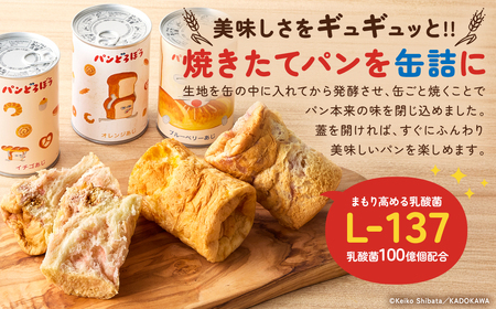 パンどろぼうのパンのかんづめ 3缶セット ns030-011 ﾊﾟﾝ 缶詰 備蓄 長期保存 安心 安全  防災ｸﾞｯｽﾞ 防災用品 ﾊﾟﾝどろぼう ｷｬﾗｸﾀｰ