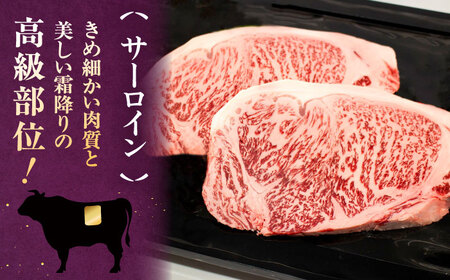 【全6回定期便】【A5-A4等級】博多和牛 サーロイン ステーキ 2枚（計500g）桂川町/株式会社チクゼンヤ [ADBZ019] ステーキ用 和牛 国産 
