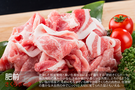 【定期便】 (12ヶ月連続お届け) 佐賀牛と肥前さくらポークのフルコース定期便   Q410-001 佐賀の黒毛和牛 霜降りの佐賀牛 しゃぶしゃぶ用佐賀牛 ステーキ用佐賀牛 人気の佐賀牛 評価の高い 佐賀牛 ブランド牛 