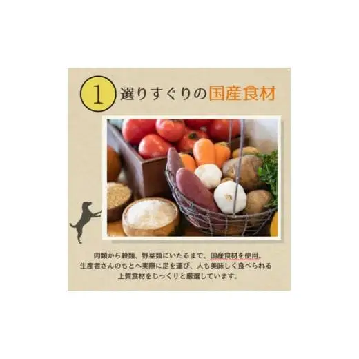 愛犬ごはん【ひとつごはん】とりぽてとオリジナルブレンド500g 無添加 厳選素材 鶏肉 ドッグフード 