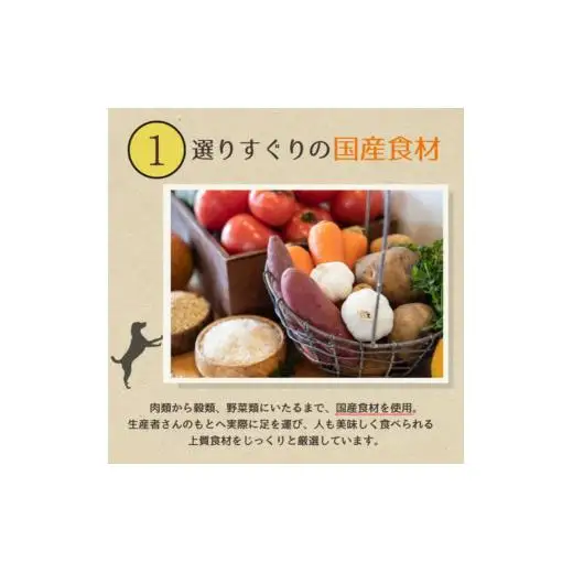 愛犬ごはん【ひとつごはん】しかぽてとオリジナルブレンド500g 無添加 鹿肉 厳選素材 ドッグフード 
