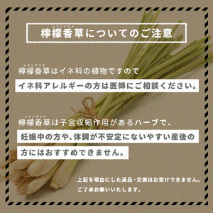 a1013 檸檬桑茶 (30包)【わくわく園】姶良市 レモングラス ハーブ 檸檬 香草ブレンド 桑の葉 桑茶 健康茶 ノンカフェイン