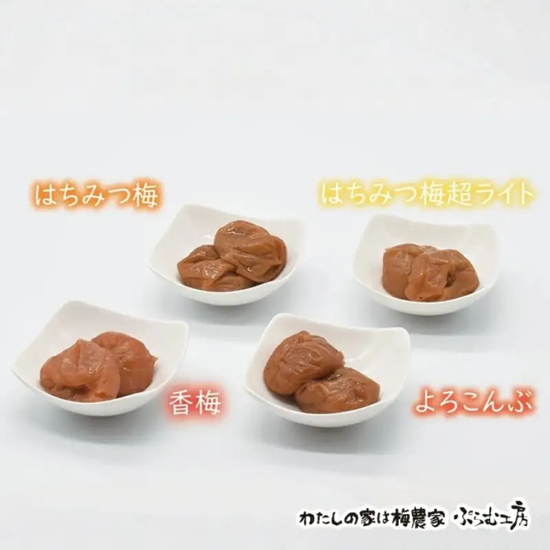 オリジナルおにぎり梅製作体験ペアチケット iwasho009A【iwasho009A】