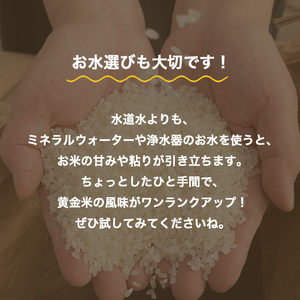 R7年度米 大江の黄金米 コシヒカリ5kg ｜ 射水市 西尾農業 黄金米 射水の美味しいお米 精米 ※離島への配送不可