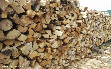 【 数量限定 】 ストーブ 薪 ミックス 1年乾燥 主にシイ 約16kg ヒノキの焚き付け薪入り 椎の木 椎 広葉樹 たき火 焚き火 焚火 BBQ キャンプ 災害用 高知 四万十市 四万十 しまんと 【2026年2月下旬より順次発送】 26-52