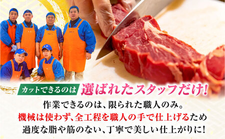 定期便3回 佐賀牛ヒレ ステーキ 5枚×200g すてーき ヒレ 赤身[FDP002]