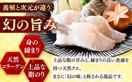 クエ鍋用クエパック500g×2 五島市/金沢鮮魚[PEP024]クエ くえ 鍋 お鍋 冬 高級 贅沢