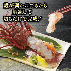 【 伊勢海老 】 伊勢海老刺身用2kg