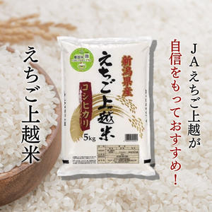【えちご上越米】令和7年産 新潟県上越産 コシヒカリ 10kg 精米 こしひかり JAえちご上越