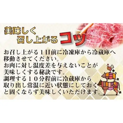 【お中元ギフト】【畜産農家応援】宮崎牛 赤身＆肩ロース 食べ比べ焼肉セット１kg  （500g ×2）4等級以上 ミヤチク 内閣総理大臣賞4連覇 ＜47-10b＞牛肉 赤身 焼肉
