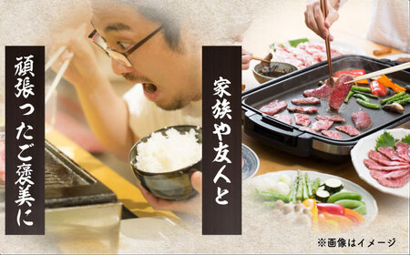 【全3回定期便】 長崎和牛（A4ランク以上）カルビ焼肉用500g [RCE018]