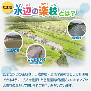 【返礼品なし】三重県玉城町への寄附「たまき水辺の楽校」を応援！！寄附額10,000円