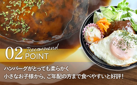 手捏ね デミグラス ハンバーグ 10個 ハンバーグ 手ごね デミグラス 国産 晩御飯 おかず お弁当 冷凍 合挽 レンジ 温めるだけ レンチン 湯銭 福岡 お土産 九州 福岡土産 福岡県
