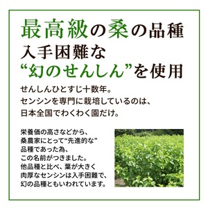 a1014 さつま桑茶 (30包)【わくわく園】 姶良市 桑の葉 桑茶 国産 無農薬 健康茶 ハーブ マルベリー ノンカフェイン