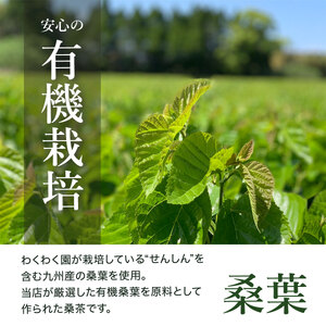 a1015 菊芋桑茶 (60包)【わくわく園】 姶良市 菊芋 スーパーフード 桑の葉茶 健康茶 ハーブ マルベリー ノンカフェイン
