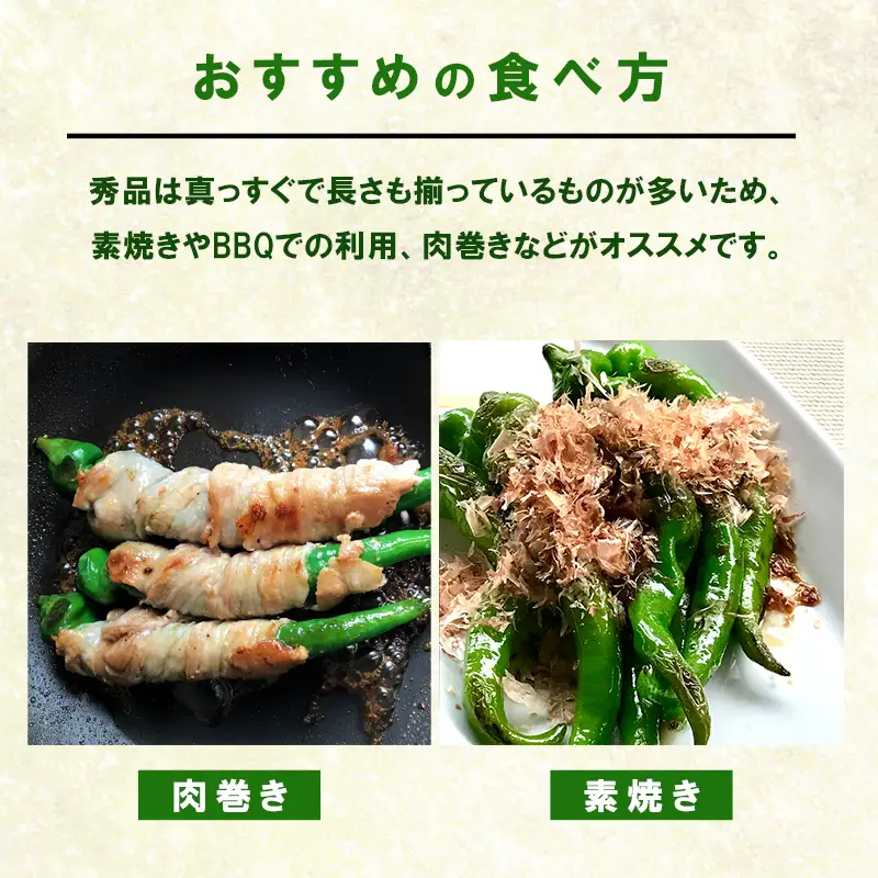 【5月中旬～11月下旬発送】 万願寺とうがらし 秀品 1kg 