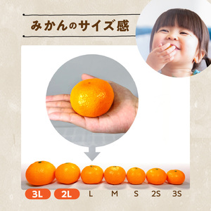 MK1033_【2026年先行予約】みかん 大玉 どっこいしょ 箱込 5kg ( 内容量 4.4kg ) 2Lサイズ以上 秀品 優品 混合 有田みかん 和歌山県産 産地直送 【みかんの会】