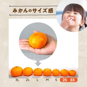 MK1052_【2026年先行予約】みかん とにかく 小玉 箱込 7.5kg ( 内容量 6.8kg ) 2Sサイズ以下 秀品 優品 混合 有田みかん 和歌山県産 産地直送 【みかんの会】