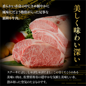 佐賀牛 極上！12回定期便 佐賀牛 ブランド牛 国産牛 牛肉 肉 定期便 佐賀県 太良町 ZAP1
