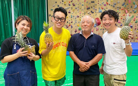 パイナップルパイ パイン  【TVで紹介！】オリジナル★パイナップルパイ (直径約18cm / 約450g)   BCCC001 お菓子